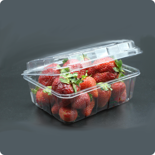 Punnet 500gram